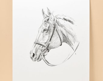 Croquis personnalisé de portrait de cheval/5 x 7 po. Croquis au crayon/Art graphite/cadeau cheval