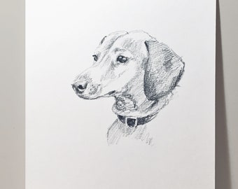 Dog Portrait Custom Sketch/Dog Drawing/5"x7" Pencil Sketch/Graphite Art/Dog Gift