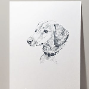 Dog Portrait Custom Sketch/Dog Drawing/5&quot;x7&quot; Pencil Sketch/Graphite Art/Gift for Dog Lovers