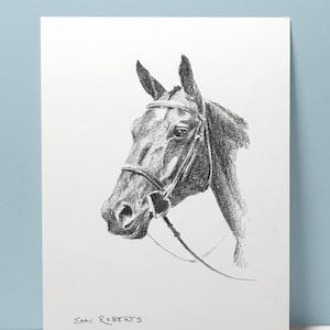 Horse Portrait Custom Sketch/5&quot;x7&quot; Pencil Sketch/Graphite Art/Horse Gift