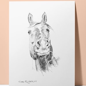 Horse Portrait Custom Sketch/5"x7" Pencil Sketch/Graphite Art/Horse Gift