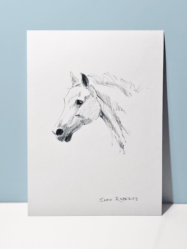 Custom Graphite Pencil Portrait of Horse Head by Shay Roberts on Etsy. Memorial Portrait Gift.