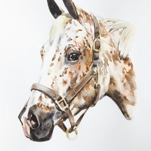 Horse Portrait/Watercolor Custom Commissioned Portrait/5x7/8x10/Watercolor Painting/Horse Gift image 7