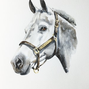 Horse Portrait/Watercolor Custom Commissioned Portrait/5x7/8x10/Watercolor Painting/Horse Gift image 10