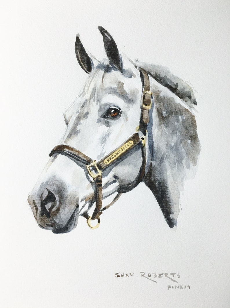 Horse Portrait/Watercolor Custom Commissioned Portrait/5x7/8x10/Watercolor Painting/Horse Gift image 10