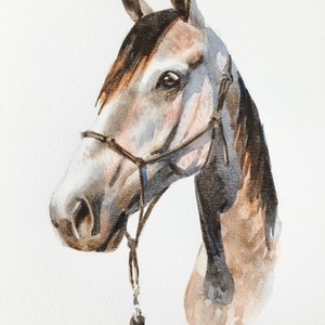 Horse Portrait/Watercolor Custom Commissioned Portrait/5x7/8x10/Watercolor Painting/Horse Gift image 4