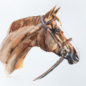 Horse Portrait/Watercolor Custom Commissioned Portrait/5x7/8x10/Watercolor Painting/Horse Gift image 3