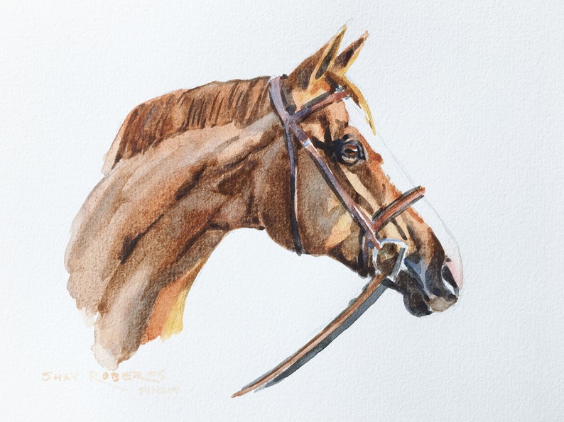 Horse Portrait/Watercolor Custom Commissioned Portrait/5x7/8x10/Watercolor Painting/Horse Gift image 3