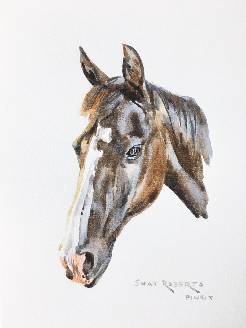 Horse Portrait/Watercolor Custom Commissioned Portrait/5x7/8x10/Watercolor Painting/Horse Gift image 8