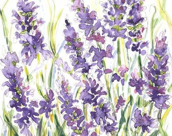 Fine Art Prints