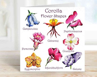 Corolla Flower Shapes Card Watercolour Artwork Floral Card Blank Pink Blue Yellow Orange Illustration Art