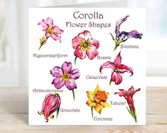 Corolla Flower Shapes - Art Card Watercolour Artwork Floral