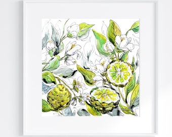 Bergamot Fruit and Flowers - Print of the Original Pen and Watercolour Art in a Mount Ready to Frame Wildflowers Artwork