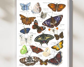 Fine Art Prints