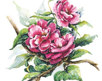 Camellia Flowers Deep Pink- FINE ART PRINT with a Soft White Mount Of My Original Watercolour Painting