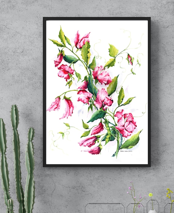 Pink Sweet Peas: Fine Art Print - Home Décor, Unframed Floral Portrait Watercolour Wall Art, Botanical Flowers, Unmounted & Unframed Gift