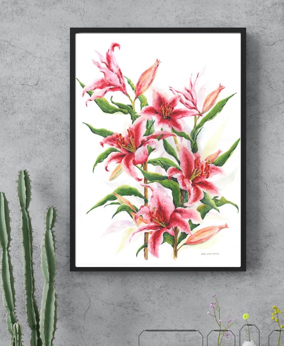 Pink Stargazer Lily: Fine Art Print - Home Décor, Unframed Floral Portrait Watercolour Wall Art, Botanical Flowers Unmounted & Unframed Gift