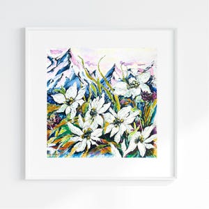 Edelweiss dipinto a mano: fiori selvatici di montagna alpina - Illustrazione originale ad acquerello e penna, simbolo nazionale della Svizzera, floreale bianco