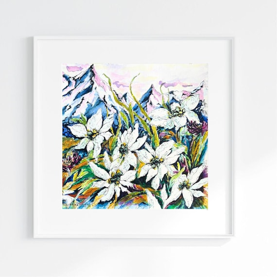 Hand-Painted Edelweiss: Alpine Mountain Wildflowers - Original Watercolour and Pen Illustration National Symbol Switzerland White Floral