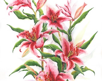 Stargazer Lily - Fine Art Giclee Print - No mount Unframed