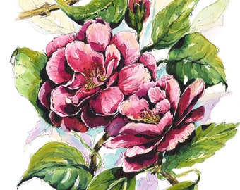 Camellia Flowers Deep Pink- Original Watercolour Painting
