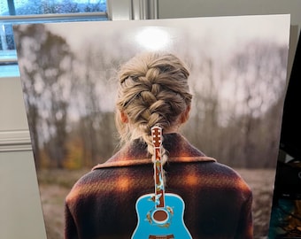 Koi Fish Guitar, 3D printed guitar vinyl holder