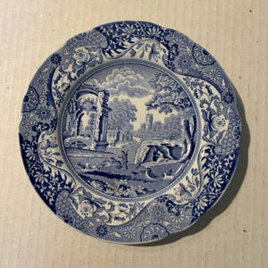 Spode Plate