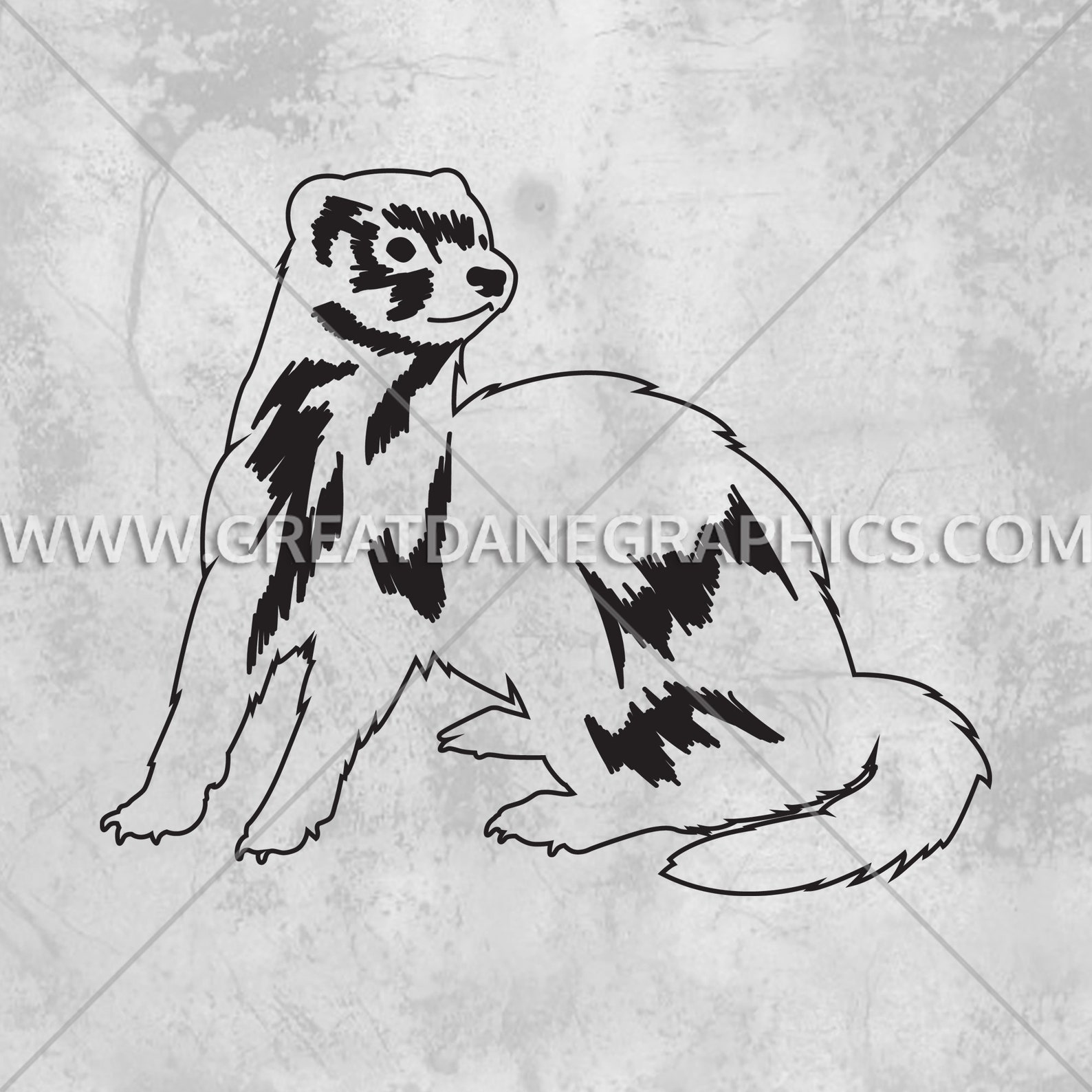 The Astonishing Range Of Ferret Sizes   Pictures Included! - 945xxs3
