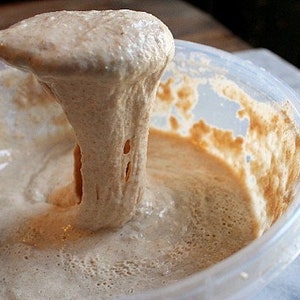Instruction in how to make your own sourdough starter from scratch plus recipe and care instruction