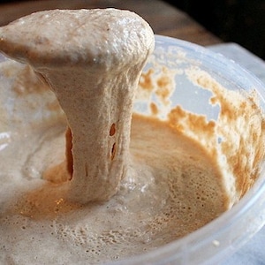 K&ouml;nnte beinhalten: Nahaufnahme eines hellbraunen Sauerteigs in einem durchsichtigen Plastikbeh&auml;lter. Der Sauerteig ist blubbern und hat eine dicke, klebrige Konsistenz. Ein L&ouml;ffel h&auml;lt einen gro&szlig;en Klecks Sauerteig hoch.