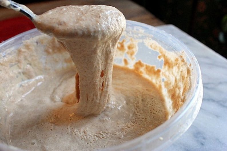 K&ouml;nnte beinhalten: Nahaufnahme eines hellbraunen Sauerteigs in einem durchsichtigen Plastikbeh&auml;lter. Der Sauerteig ist blubbern und hat eine dicke, klebrige Konsistenz. Ein L&ouml;ffel h&auml;lt einen gro&szlig;en Klecks Sauerteig hoch.