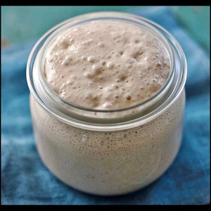 May include: A glass jar filled with a light brown, bubbly sourdough starter.