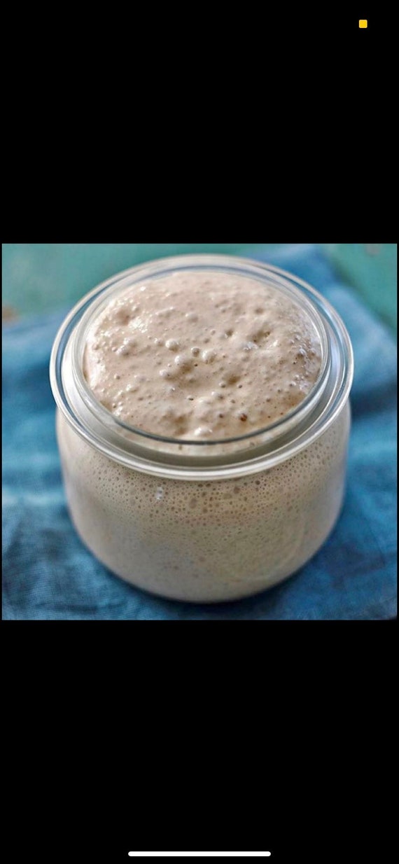 West Sussex Wild Yeast Sourdough Starter (150g) with full instructions