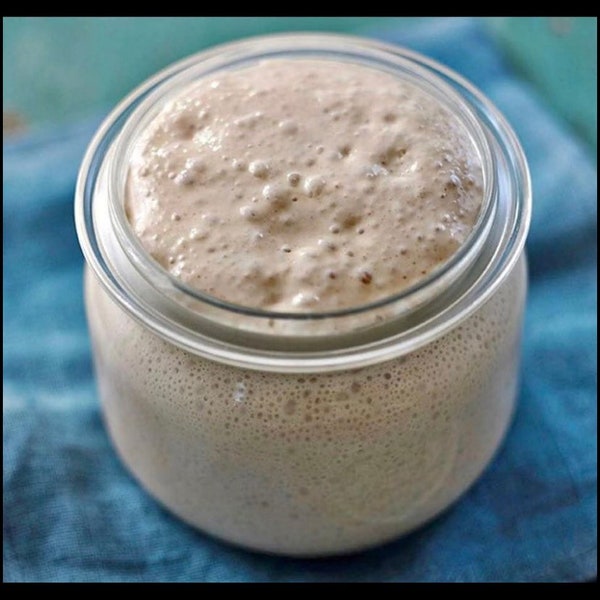 West Sussex wild yeast sourdough starter -200g with full instructions provided - best seller!!