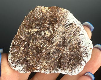 Spécimen de cristal d'astrophyllite brune