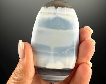 Blue Owyhee Opal Palm Stone