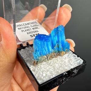 May include: A vibrant blue chalcanthite crystal cluster from Planet Mine, Arizona, displayed in a clear plastic case. The crystal has a striking, layered appearance with a textured surface, and is set on a bed of white material within a black frame.