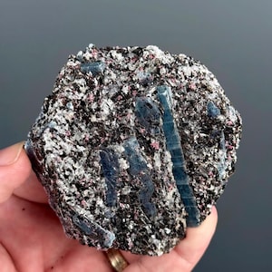 Op de afbeelding: Een close-up van een ruw bewerkt mineraal specimen. De rots heeft een matrix van zwarte, witte en roze vlekken, met verschillende prominente, langwerpige, blauwe kristalformaties. Het mineraal wordt in een hand gehouden tegen een grijze achtergrond.