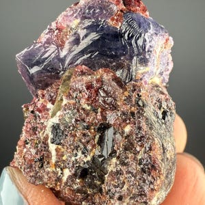 Puede incluir: Un cúmulo de cristales morados y rojos con cristales negros incrustados en la matriz. Los cristales son afilados y tienen una textura rugosa.