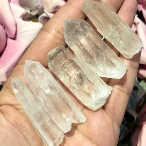 SET OF 5! Natural Lemurian  Raw QUARTZ Crystal Point