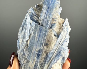 Blue Kyanite with Quartz Crystal Specimen, Brazil