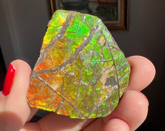 May include: A piece of iridescent ammolite with a green, orange, and gold color scheme. The ammolite has a natural, rough texture and is a beautiful example of this rare gemstone.