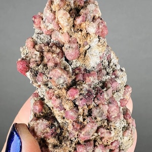 May include: A cluster of pink and red crystals embedded in a brown matrix. The crystals are small and have a rough, irregular shape. The matrix is rough and has a light brown color.