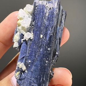 Indicolite Tourmaline Crystal with White Cubic Apatite