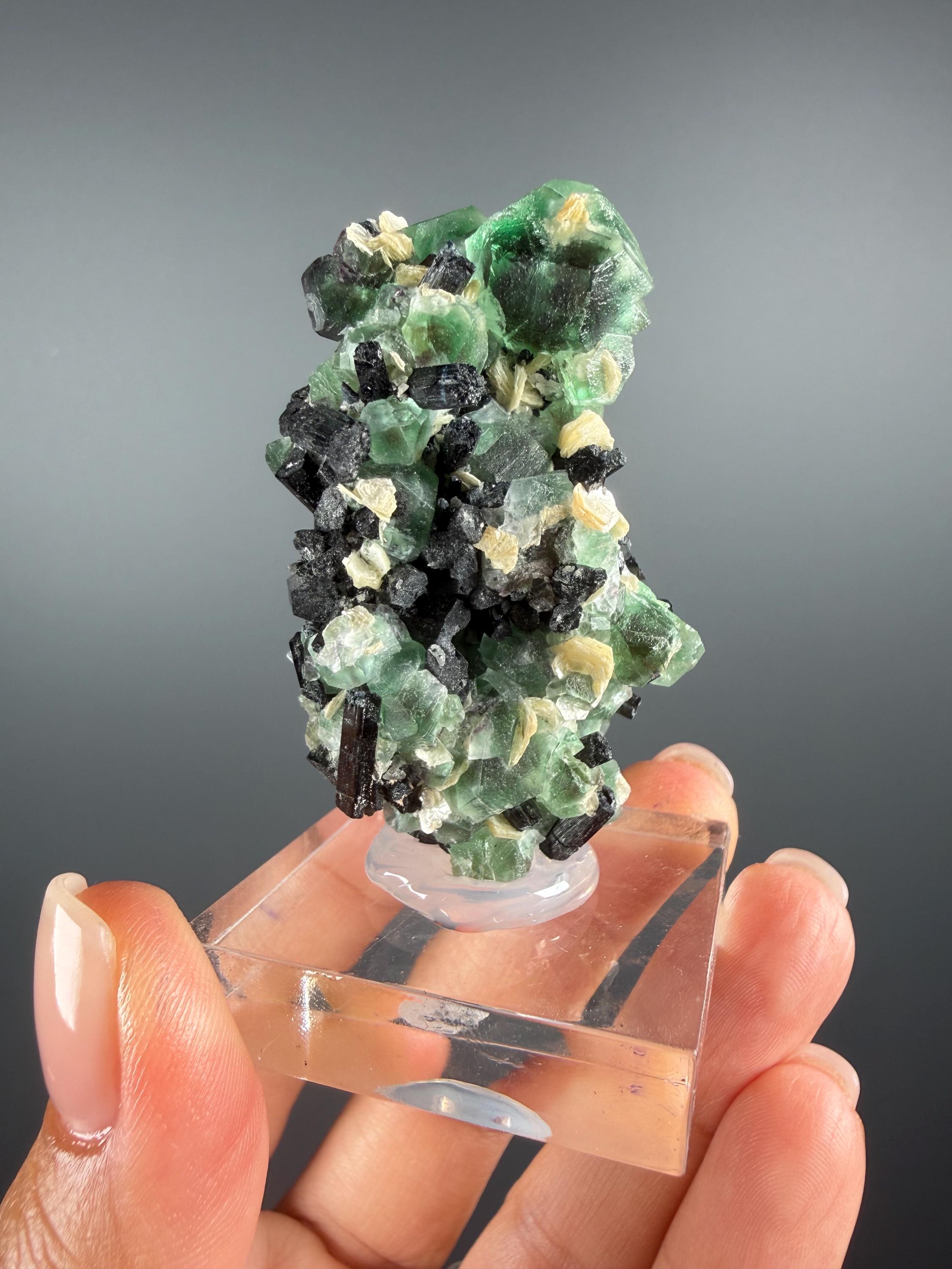 ブラジル サポ鉱山 レインボートルマリン 原石 鉱物標本 Sapo Sapo tourmaline - Etsy 日本