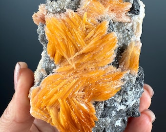 Bladed Vivid  Barite with Metallic Galena and Cerrussite  Crystal Specimen