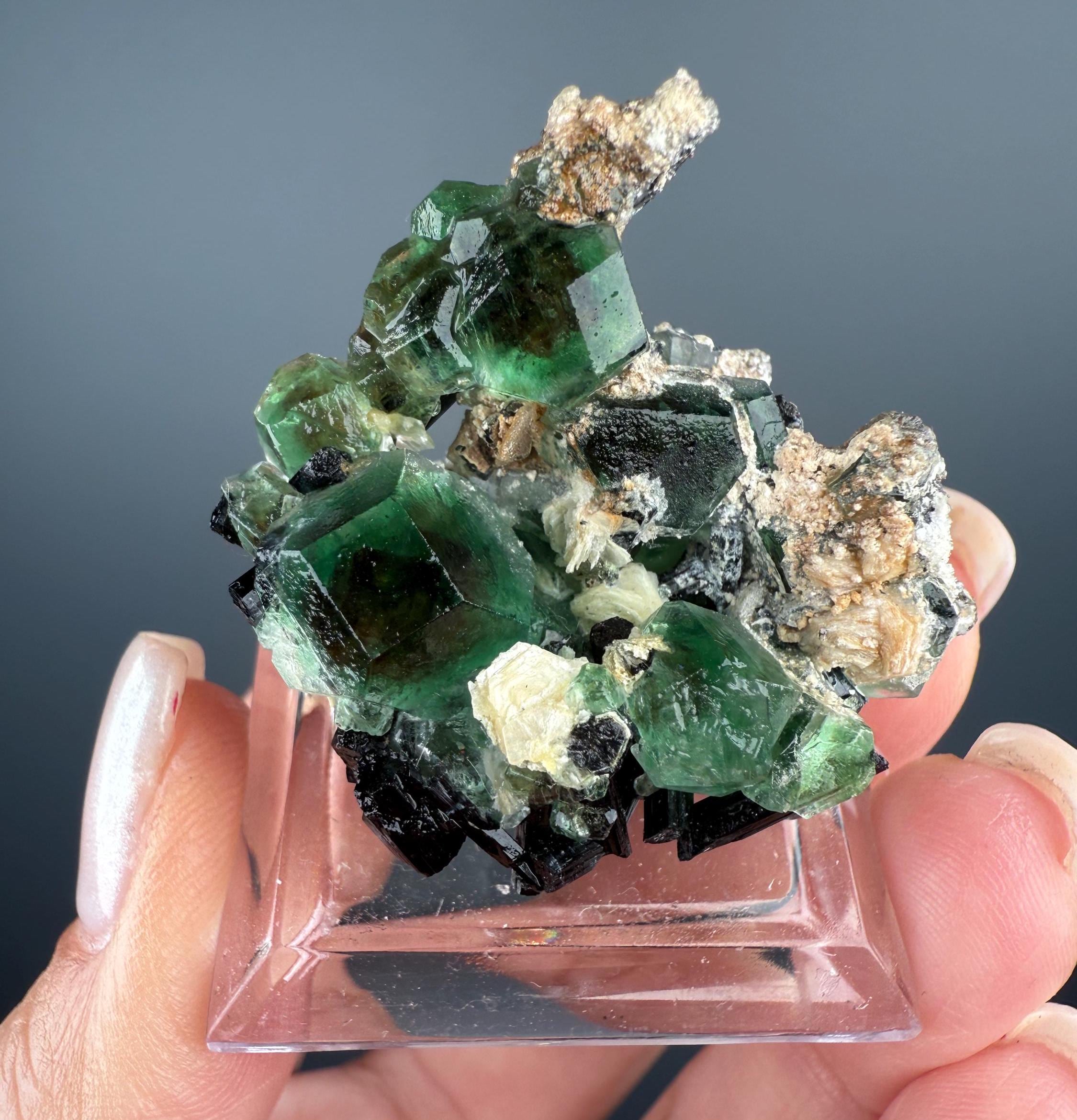 Alien eye fluorite - Etsy 日本