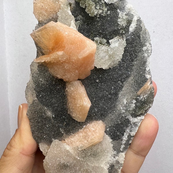 Beautiful Piece for Collection! Gemmy Apophyllite Crystal with Pink  Stilbite Specimen on Druzy Chalcedony