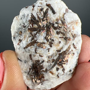 Brown Astrophyllite  Crystal  Specimen