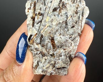 May include: A mineral specimen with a rough, irregular shape, featuring a light grey base and embedded dark brown and gold crystalline structures. The mineral is held in a hand with blue nail polish.